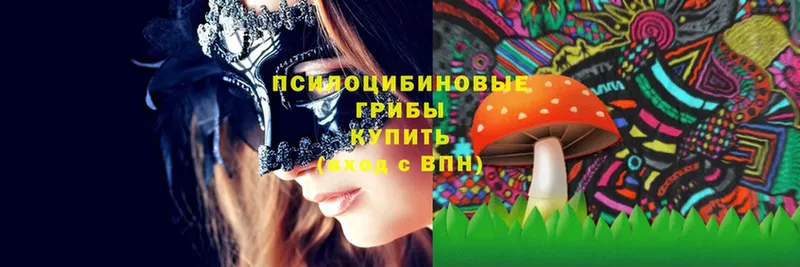 Псилоцибиновые грибы Magic Shrooms Бородино